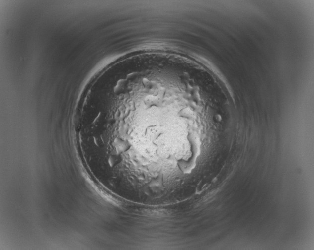 X0000081271045200701181712