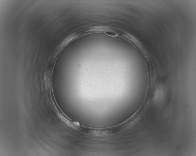 X0000081271049200701181712