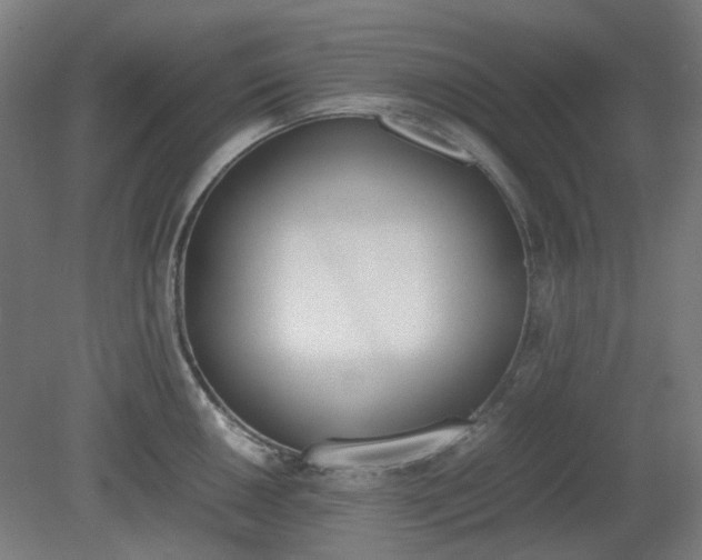 X0000081271050200701181712