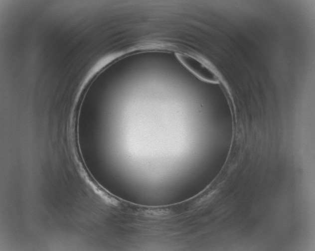 X0000081271053200701181712