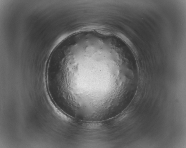 X0000081271055200701181712