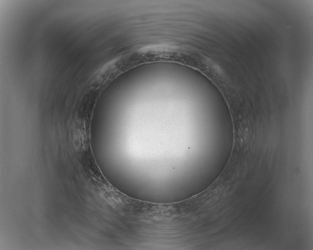 X0000081271062200701181711