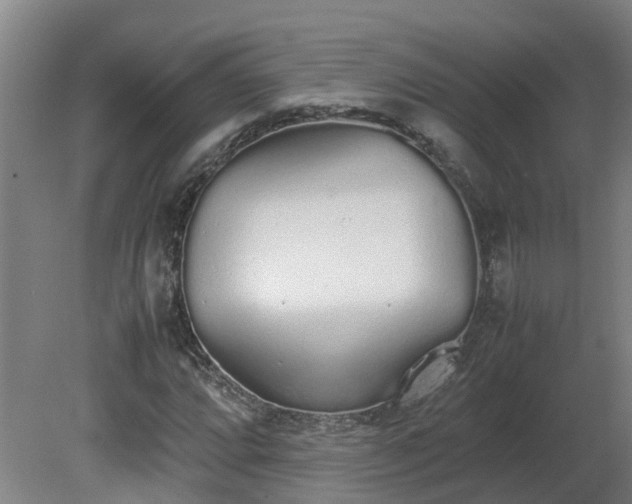 X0000081271064200701181711
