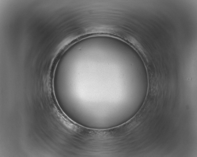 X0000081271072200701181711