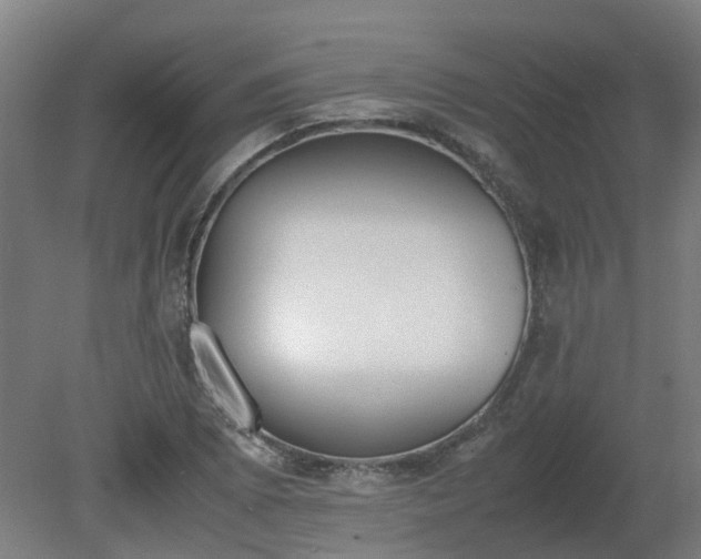 X0000081271073200701181711