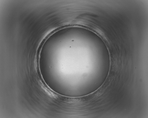 X0000081271076200701181711