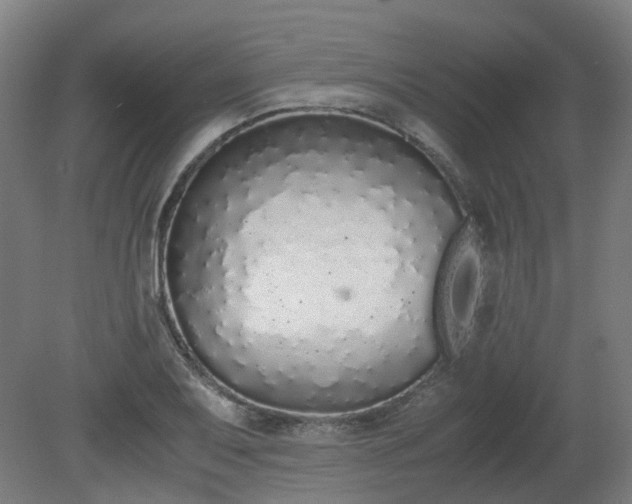 X0000081271079200701181711