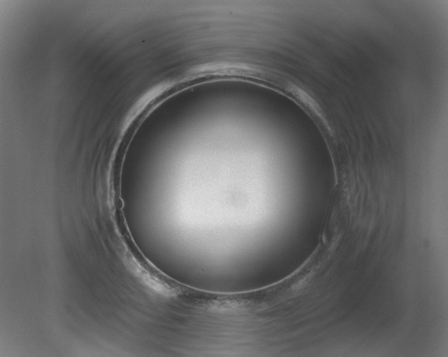 X0000081271082200701181711