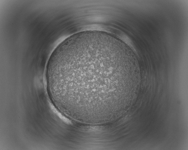 X0000081271084200701181711