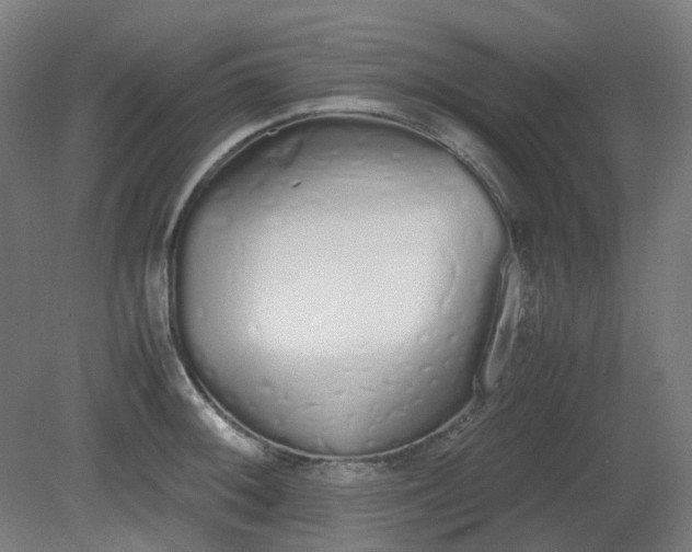 X0000081271092200701181710