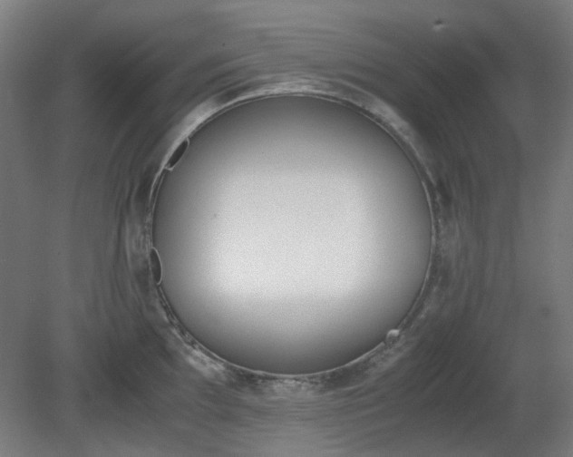 X0000081271097200701181710