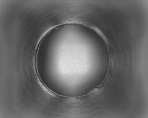 X0000081271100200701181710