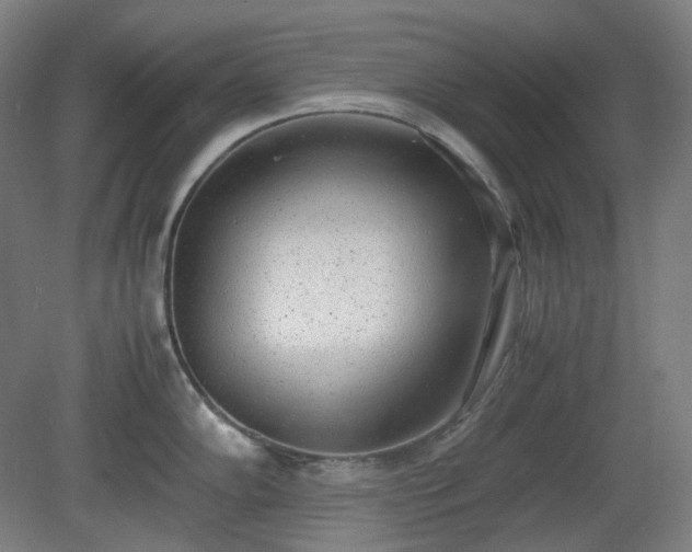 X0000081271102200701181710