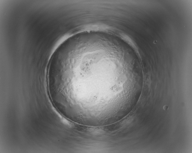 X0000081271103200701181710