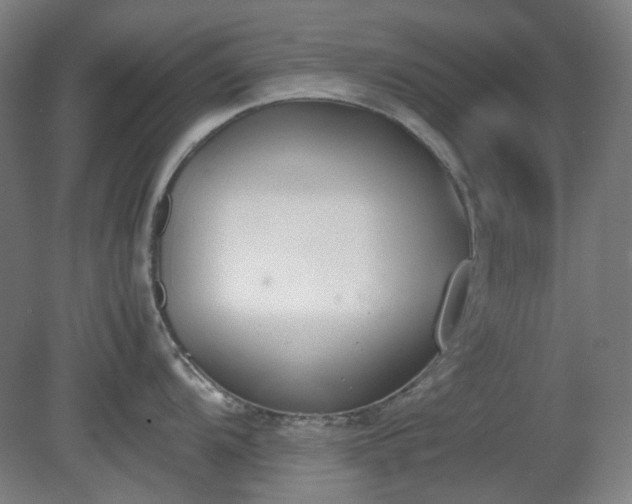 X0000081271104200701181710