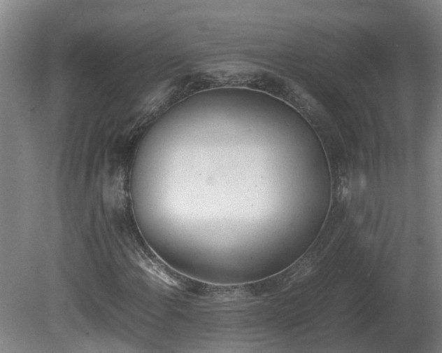 X0000081271108200701181709