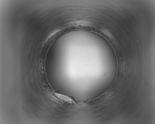 X0000081271112200701181710