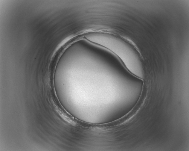 X0000081271114200701181710