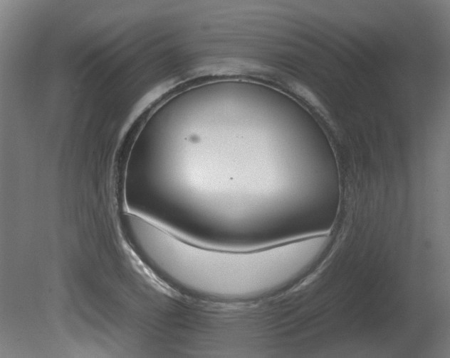X0000081271122200701181710