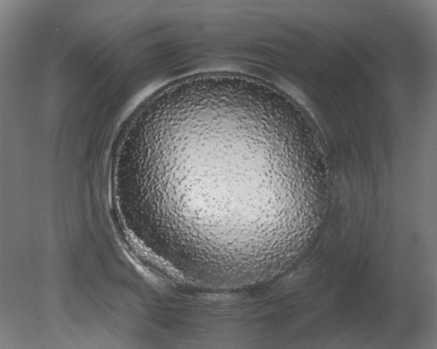X0000081271127200701181710