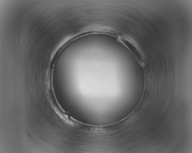 X0000081271128200701181710
