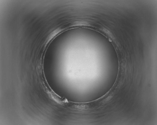 X0000081271129200701181710