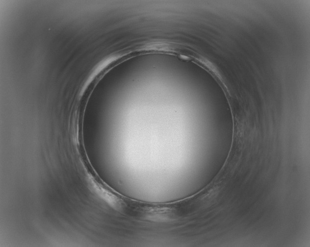 X0000081271131200701181710