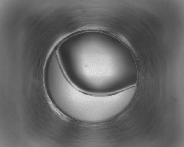 X0000081271132200701181710