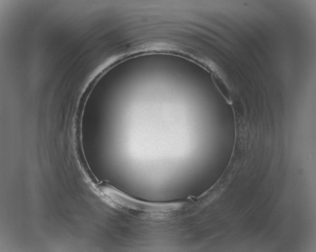 X0000081271134200701181710