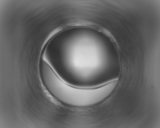 X0000081271138200701181710