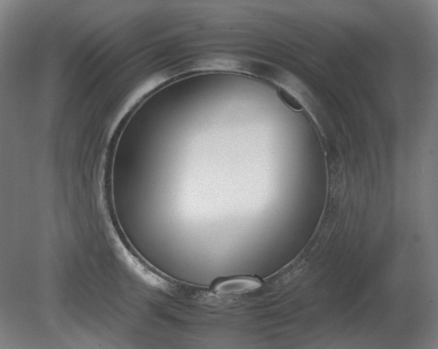 X0000081271139200701181710