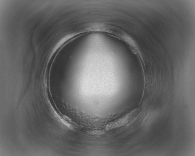 X0000081271141200701181710
