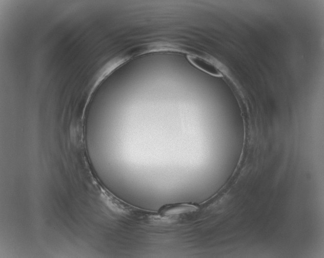 X0000081271145200701181710