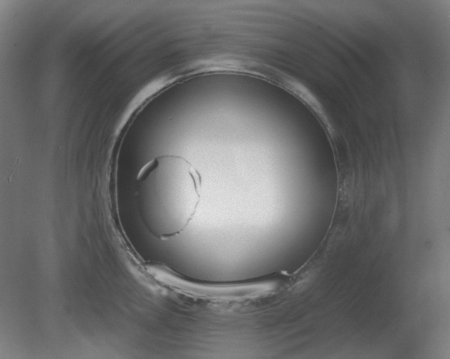 X0000081271146200701181710