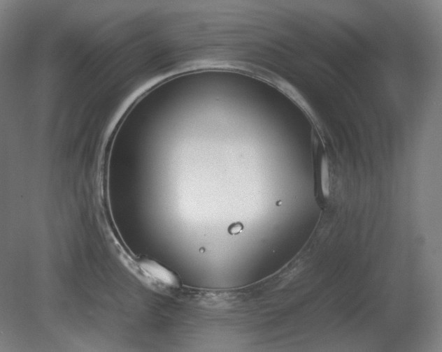 X0000081271148200701181710