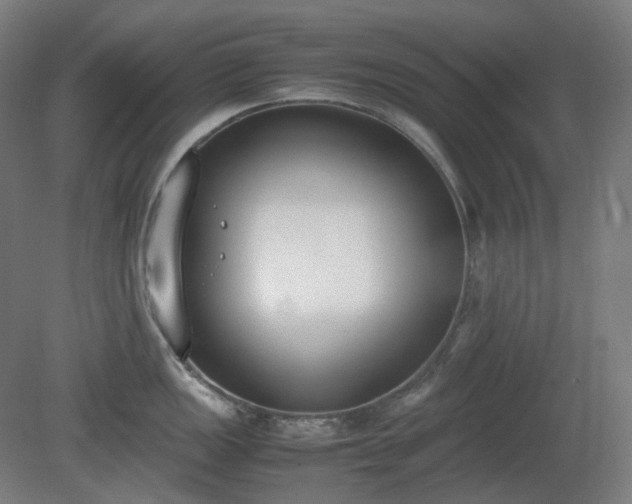 X0000081271149200701181710