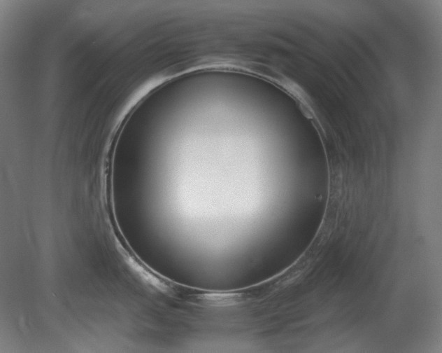 X0000081271151200701181710