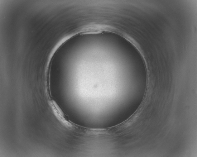 X0000081271152200701181710