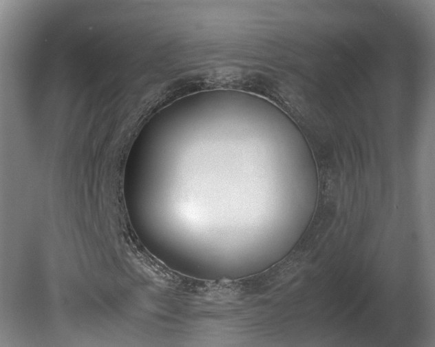 X0000081271153200701181709