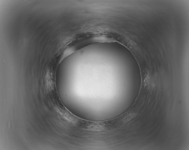 X0000081271156200701181709