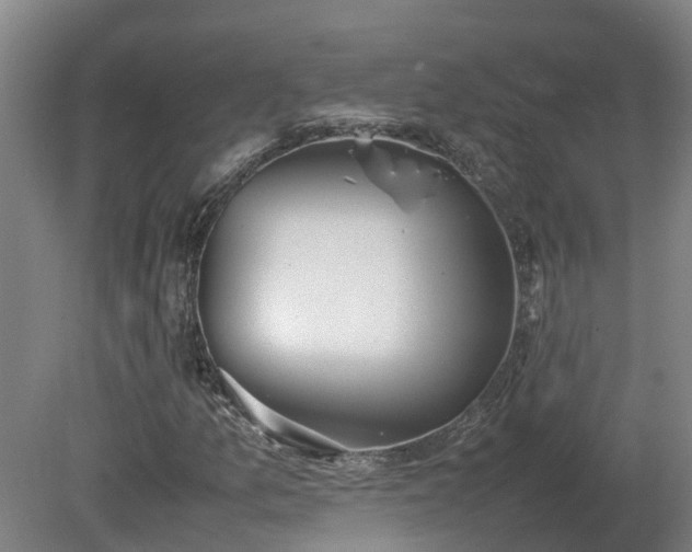 X0000081271157200701181709