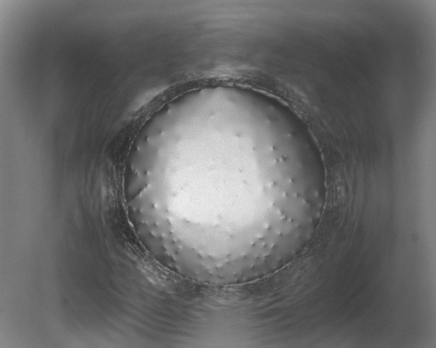X0000081271158200701181709