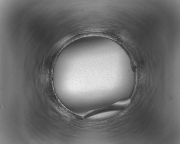 X0000081271161200701181709