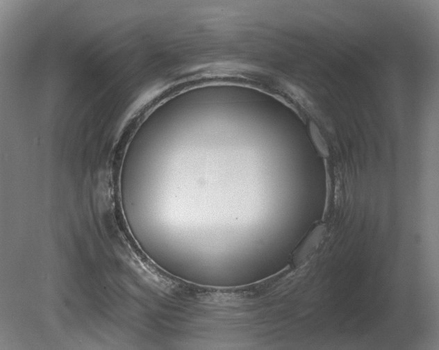 X0000081271164200701181709