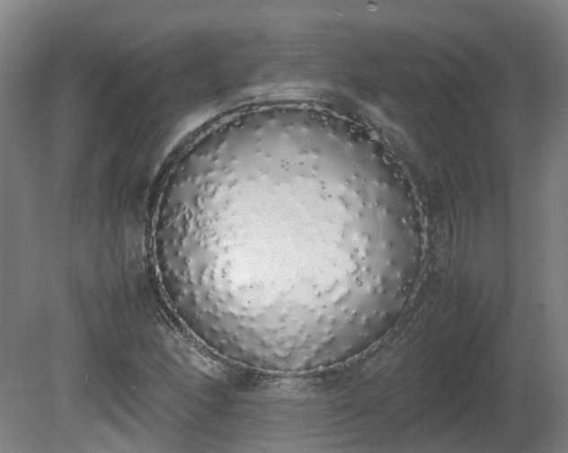 X0000081271166200701181709