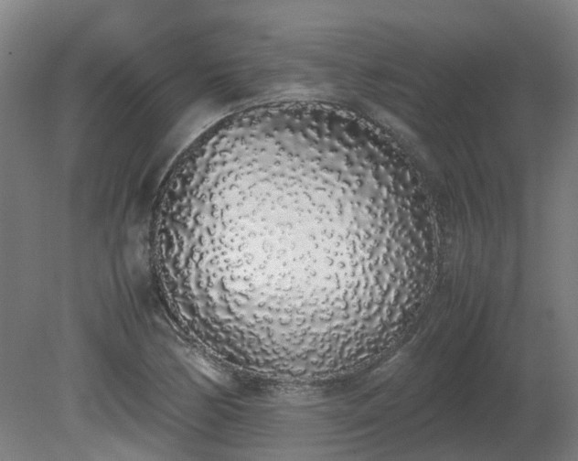X0000081271170200701181709