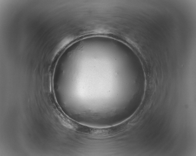 X0000081271171200701181709