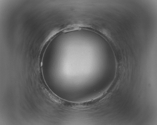X0000081271173200701181709