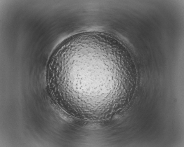 X0000081271174200701181709