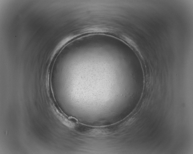 X0000081271179200701181709